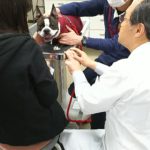 犬の歯磨き 林先生