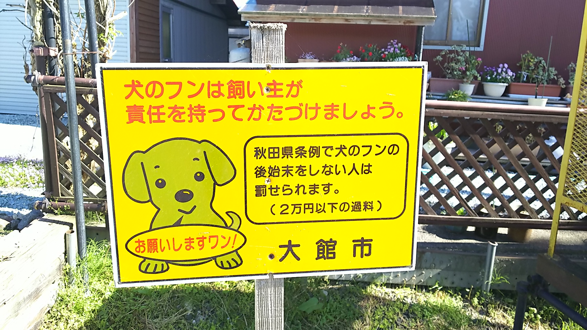 犬看板