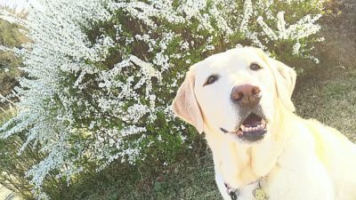 アイコンタクト