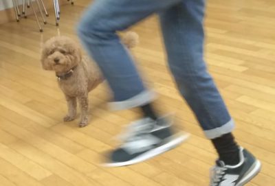 グループレッスン