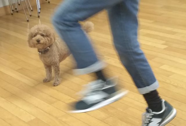 グループレッスン