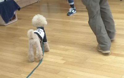 グループレッスン