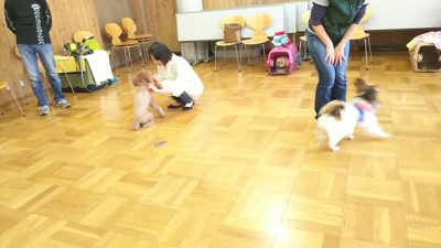 グループレッスン