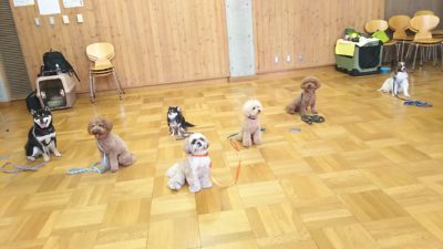 グループレッスン