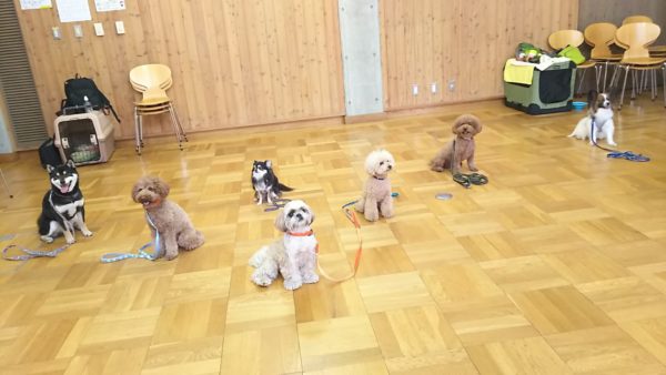 グループレッスン