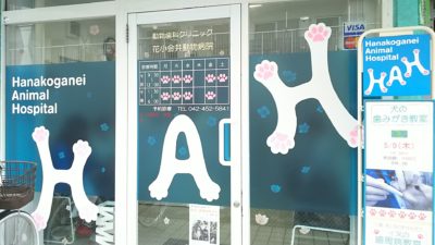 花小金井動物病院
