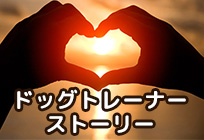 ドッグトレーナーの履歴　犬への想い