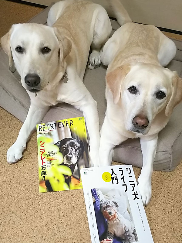 ラブラドール ロダン ルパン 掲載誌