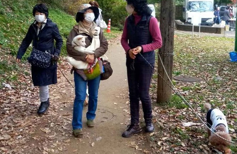 犬の社会化　抱っこで散歩