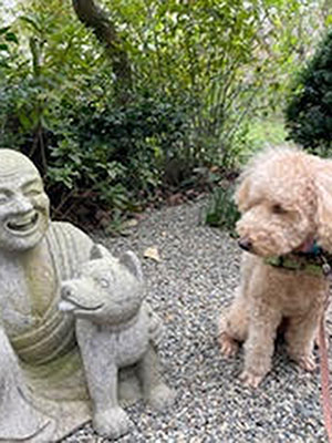 お散歩で社会化　石像と犬