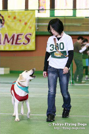 k9　フライングドッグ　愛犬　ブラン