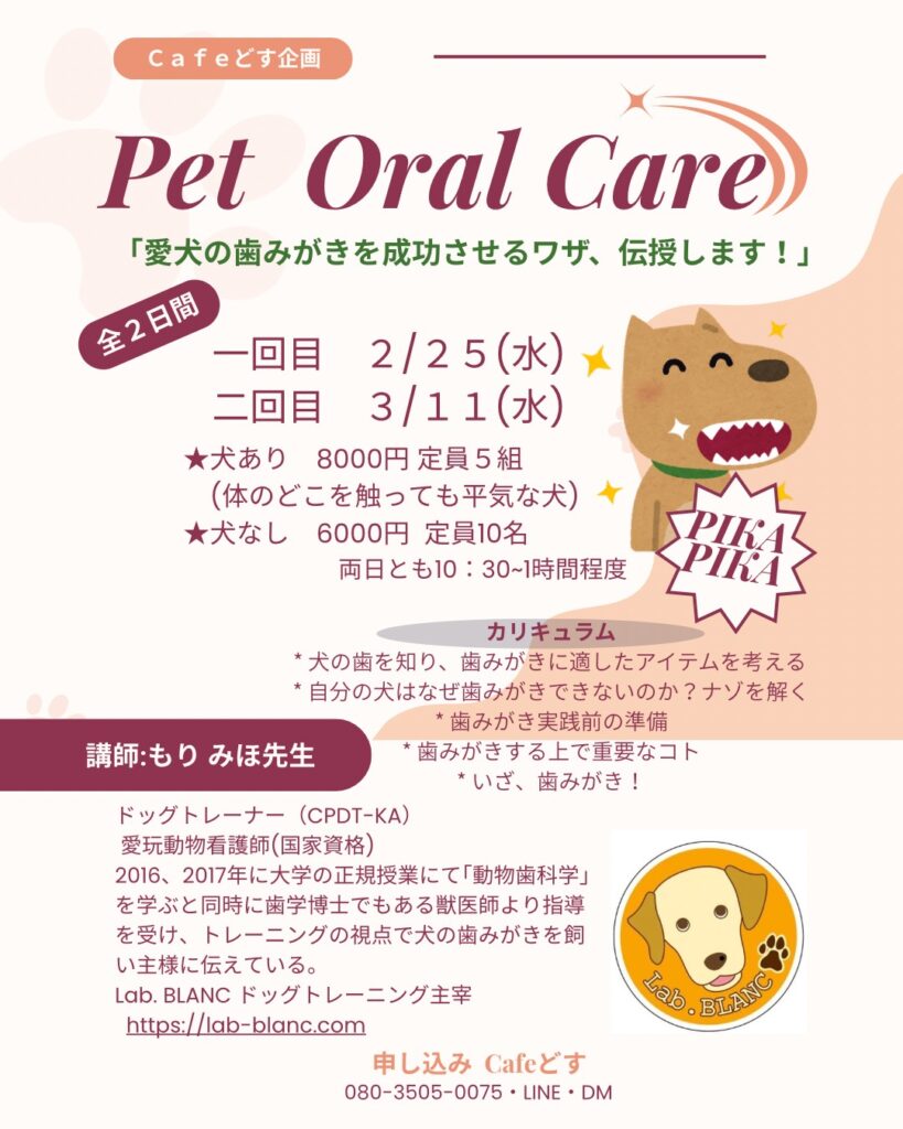 犬の歯磨き講座　犬の歯磨きを成功させるワザ　講師　もりみほ