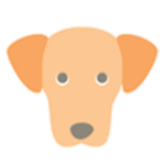 <span class="bold-green">Answer</span>